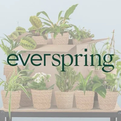 Everspring