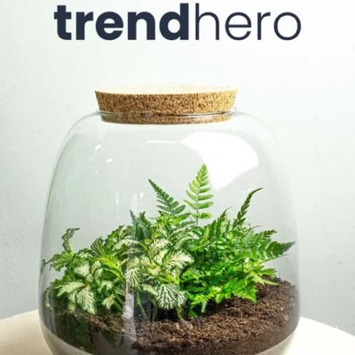 Trendhero