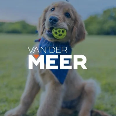Van der Meer